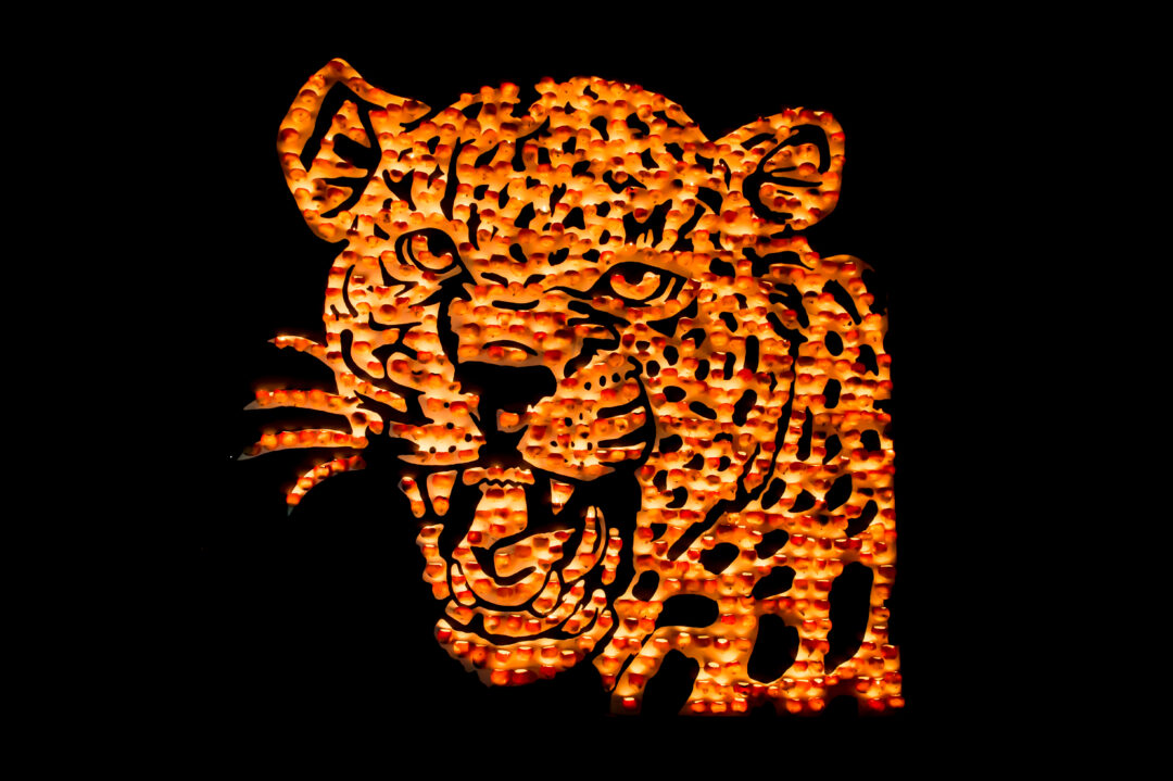 R&auml;beliechtli-Umzug Richterswil